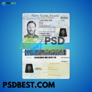 USA New York Driving License PSD Template